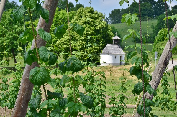 Label "Commune brassicole" Catégorie 2