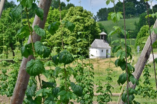 "Commune brassicole" Catégorie 2